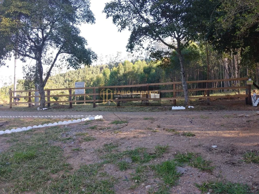 Terreno, 2 hectares - Foto 4