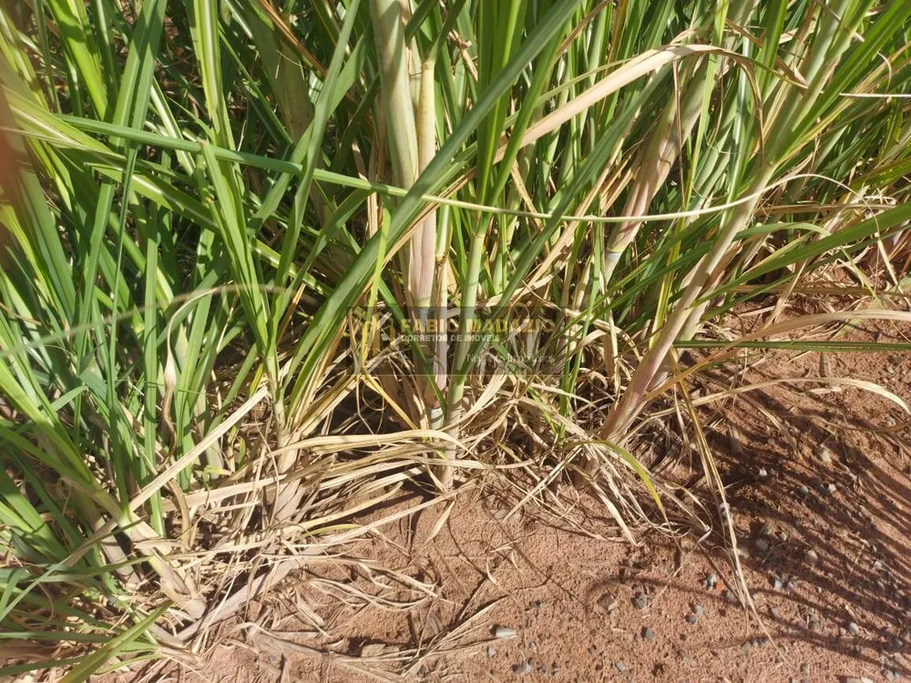 Terreno, 6 m² - Foto 9