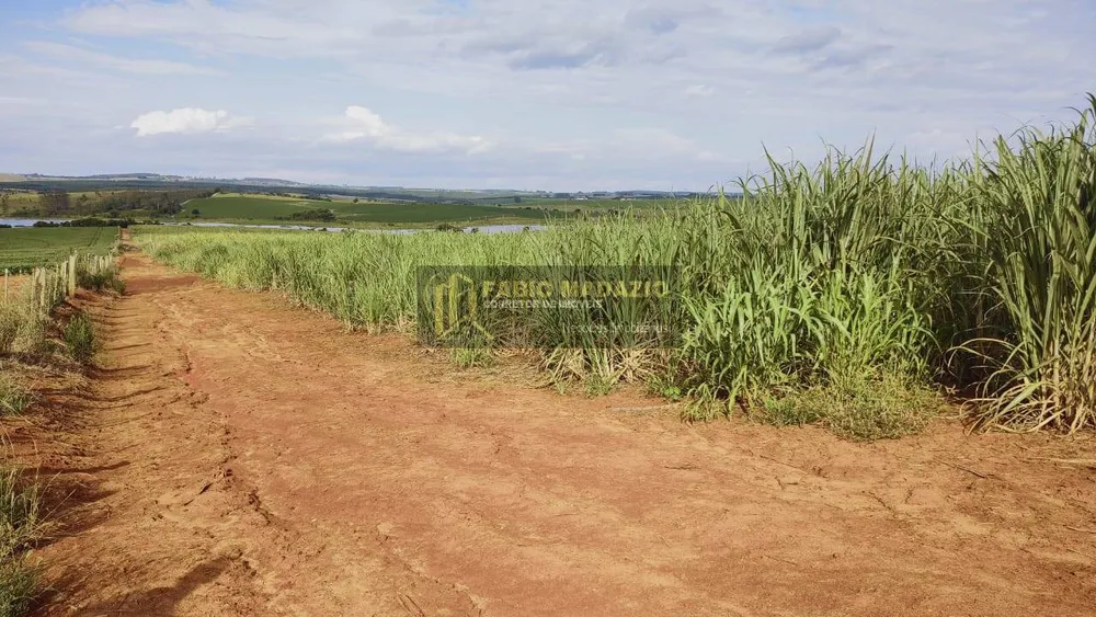 Terreno, 125 m² - Foto 4