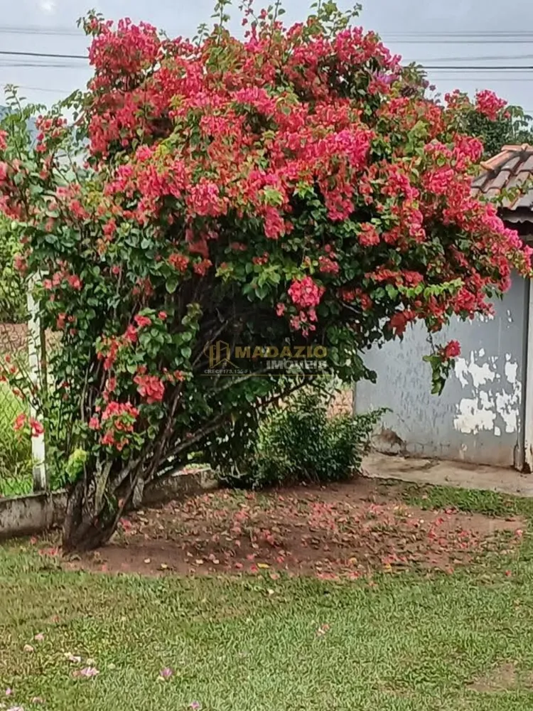 Chácara, 3 quartos, 1000 m² - Foto 3