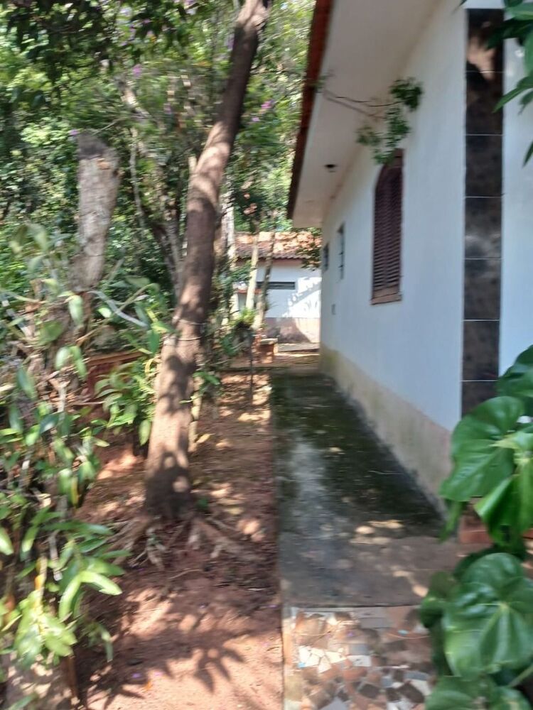 Chácara à venda com 2 quartos, 60m² - Foto 2