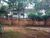 Chácara, 2 quartos, 700 m² - Foto 1