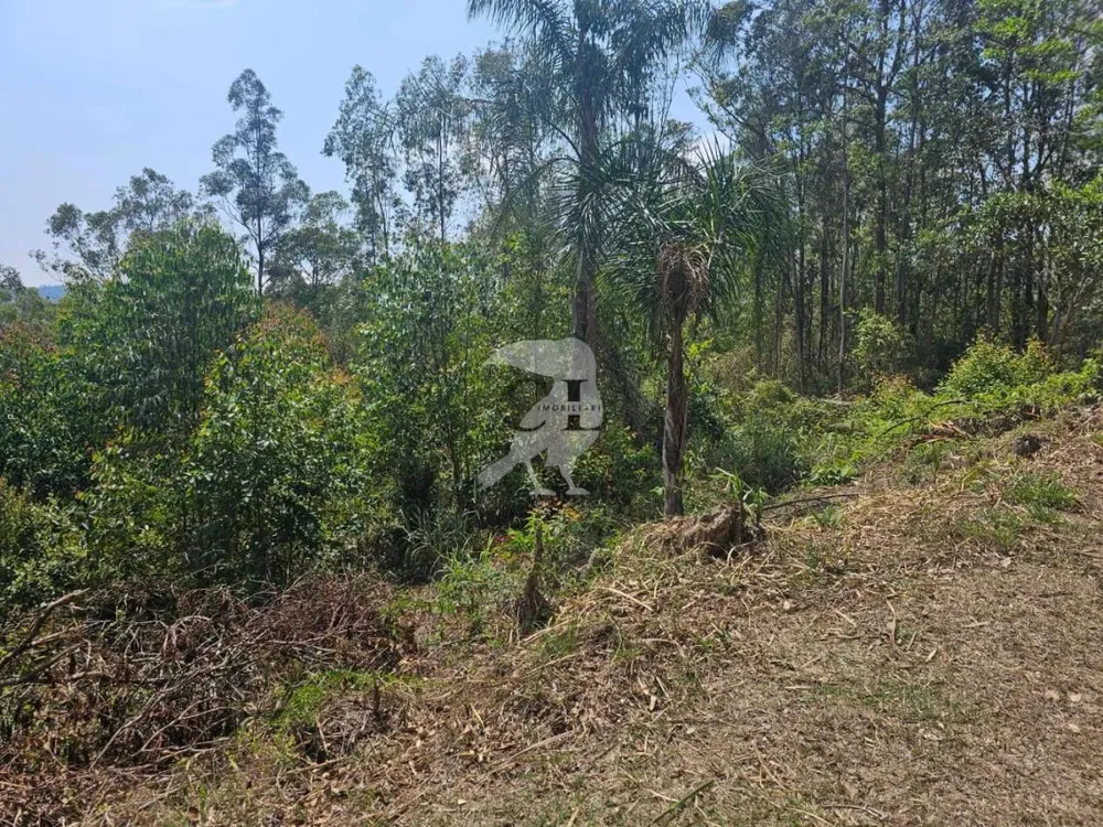 Terreno, 5080 m² - Foto 3
