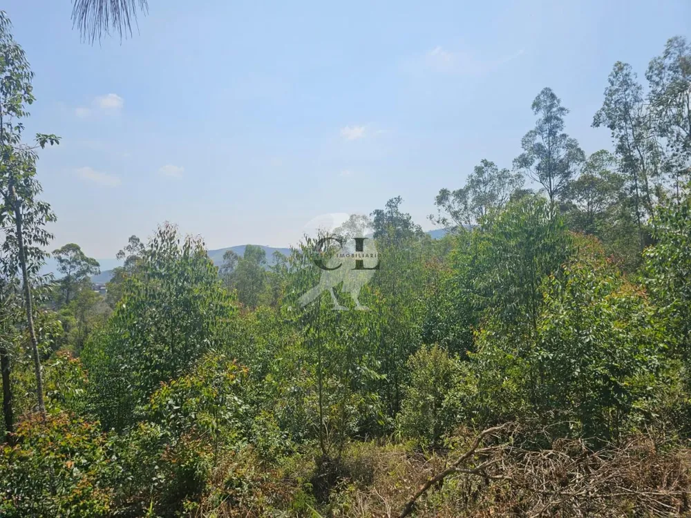 Terreno, 5080 m² - Foto 4