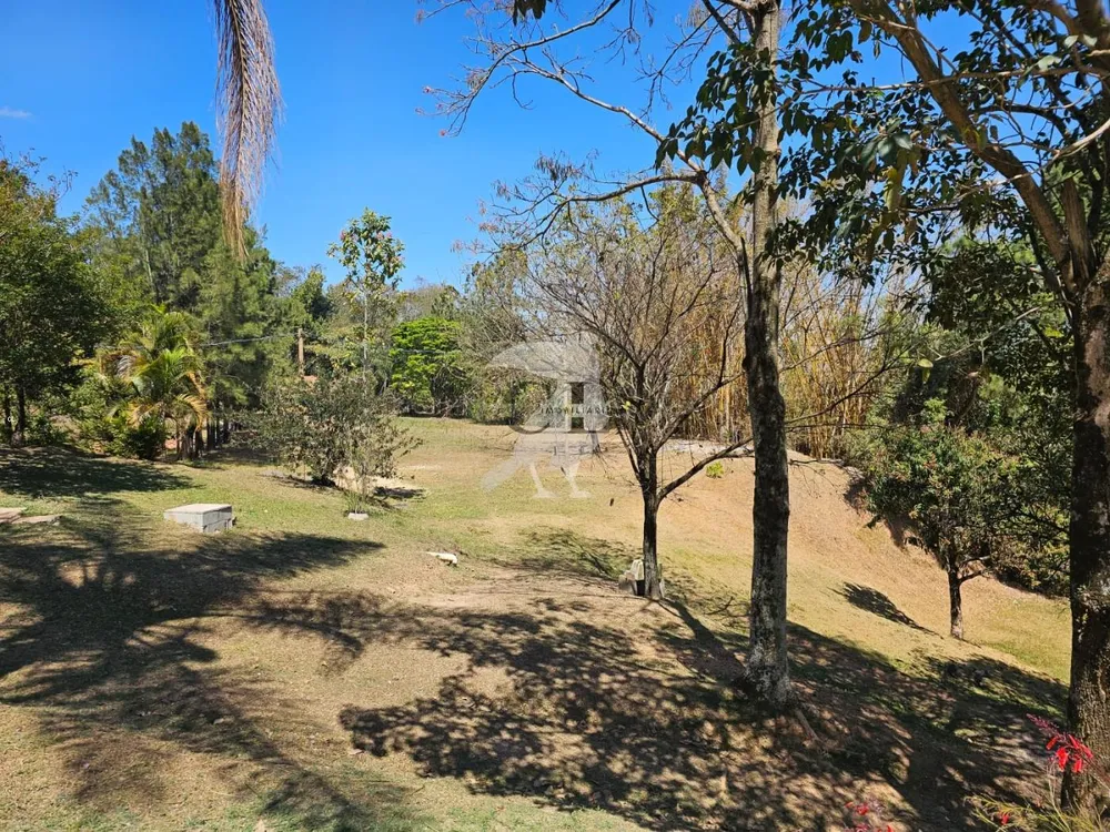 Sítio, 3 quartos, 6 hectares - Foto 3