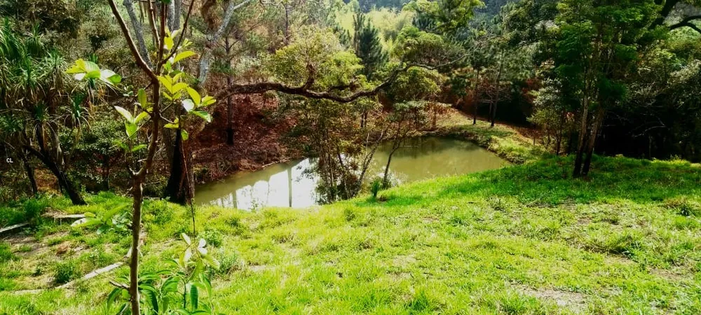 Sítio, 2 quartos, 5 hectares - Foto 2