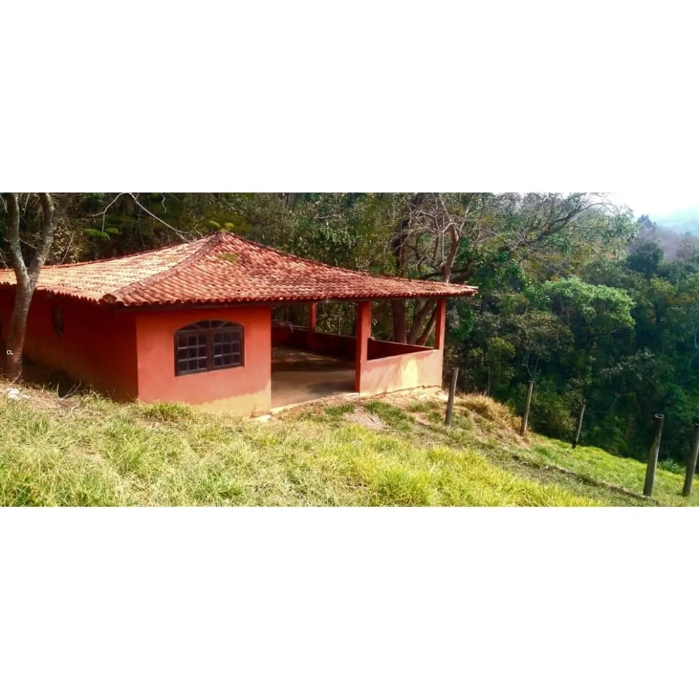 Sítio, 2 quartos, 5 hectares - Foto 11