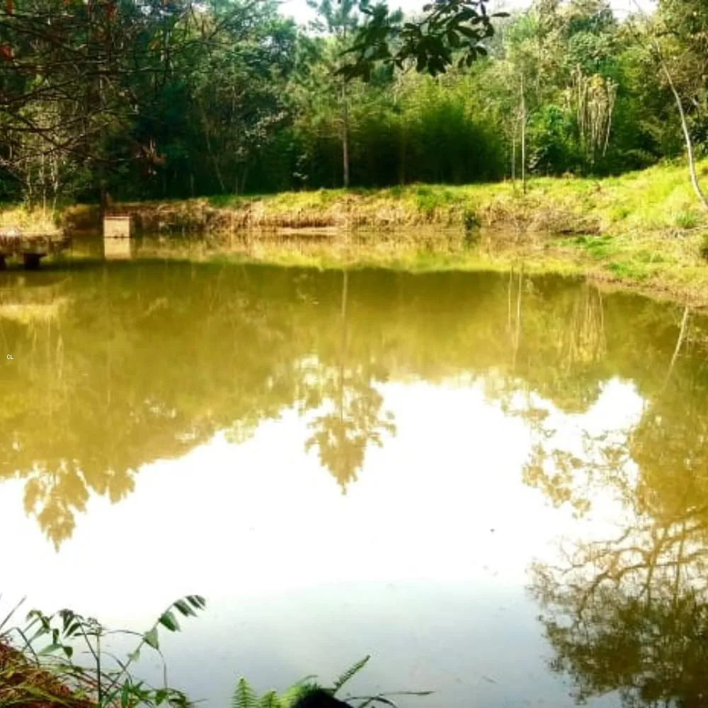 Sítio, 2 quartos, 5 hectares - Foto 12