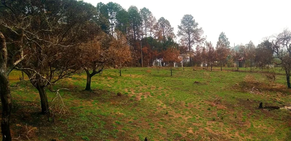 Sítio, 2 quartos, 5 hectares - Foto 4