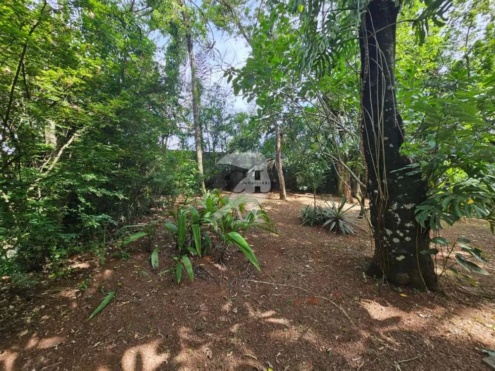Chácara, 2 quartos, 4590 m² - Foto 11