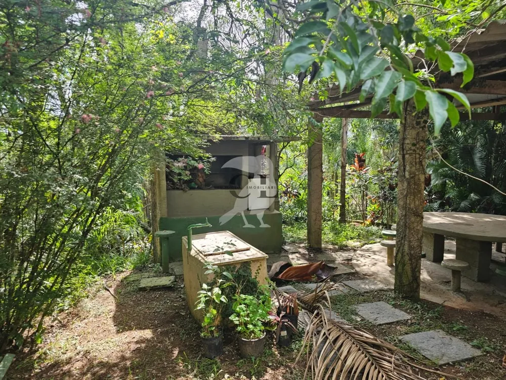 Chácara, 2 quartos, 4590 m² - Foto 5