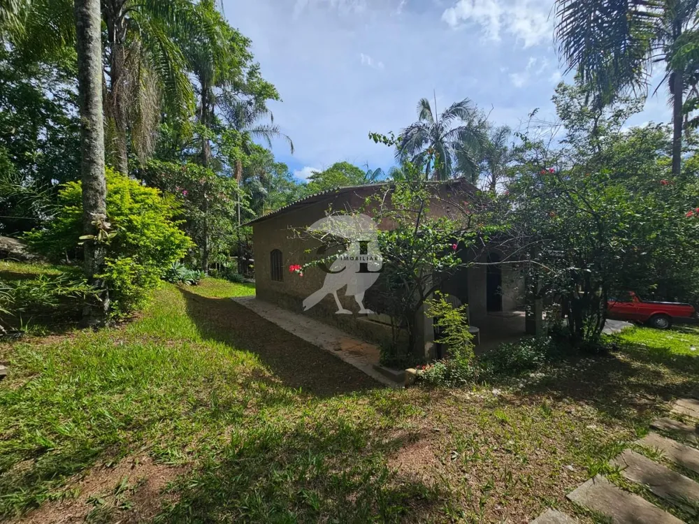 Chácara, 2 quartos, 4590 m² - Foto 4