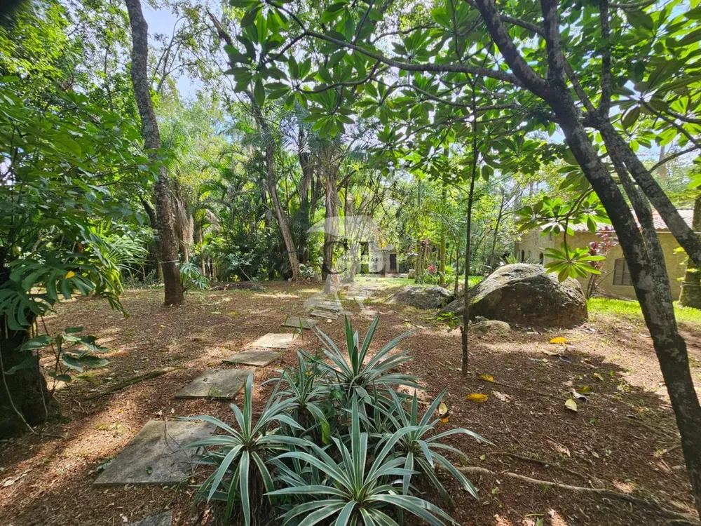 Chácara, 2 quartos, 4590 m² - Foto 10