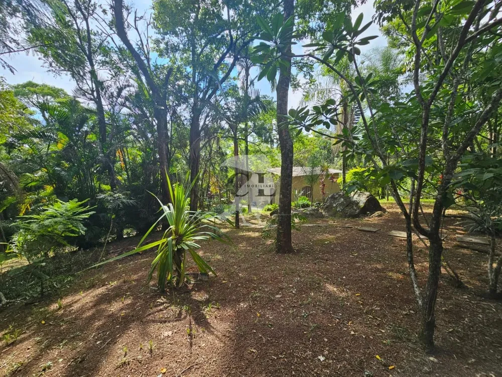 Chácara, 2 quartos, 4590 m² - Foto 13