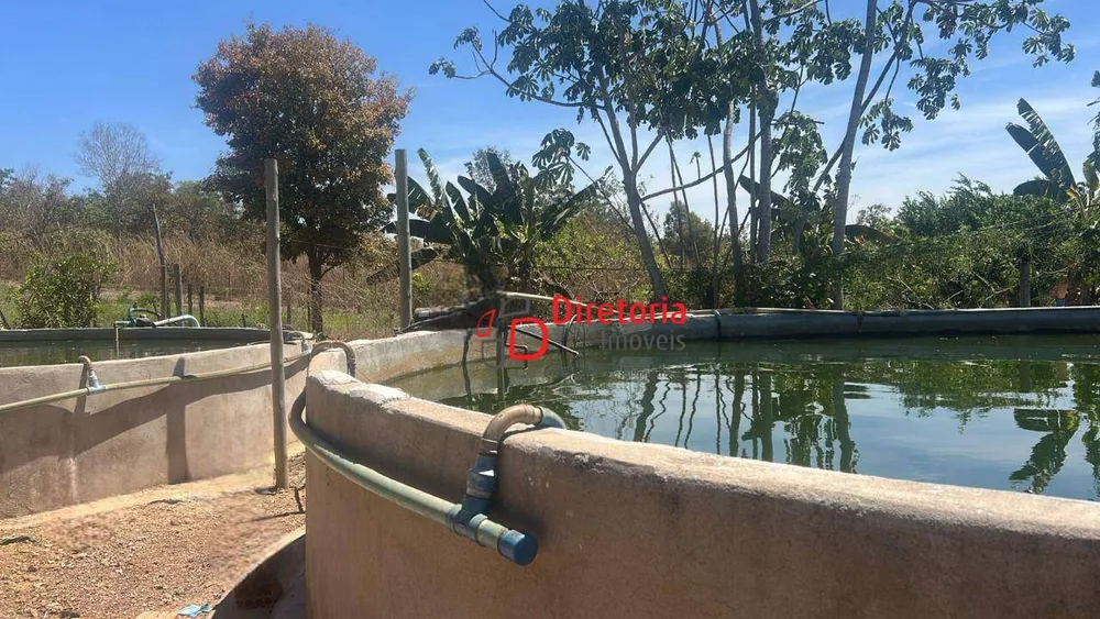 Sítio, 3 quartos, 1 hectares - Foto 4