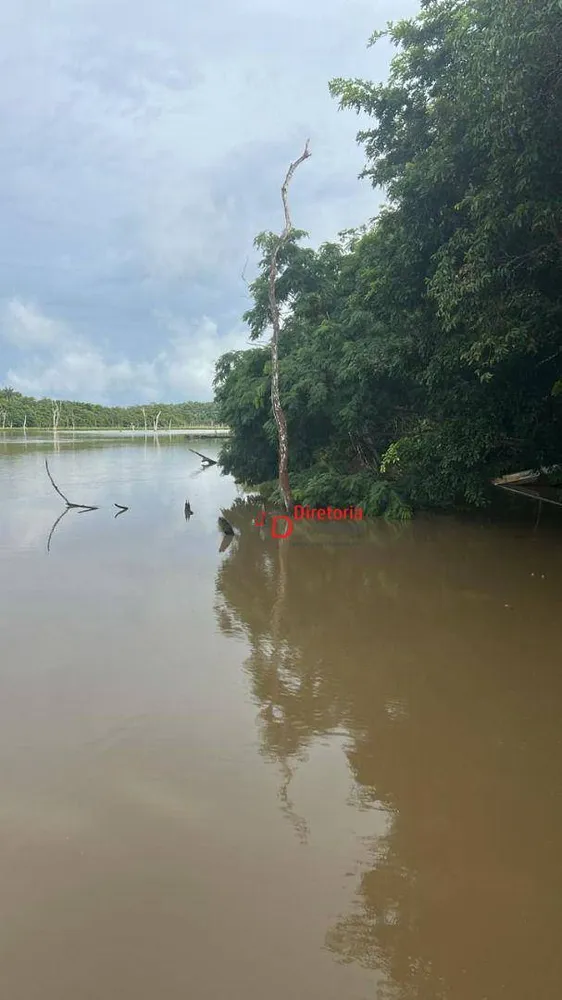 Chácara, 2 quartos, 4000 m² - Foto 1