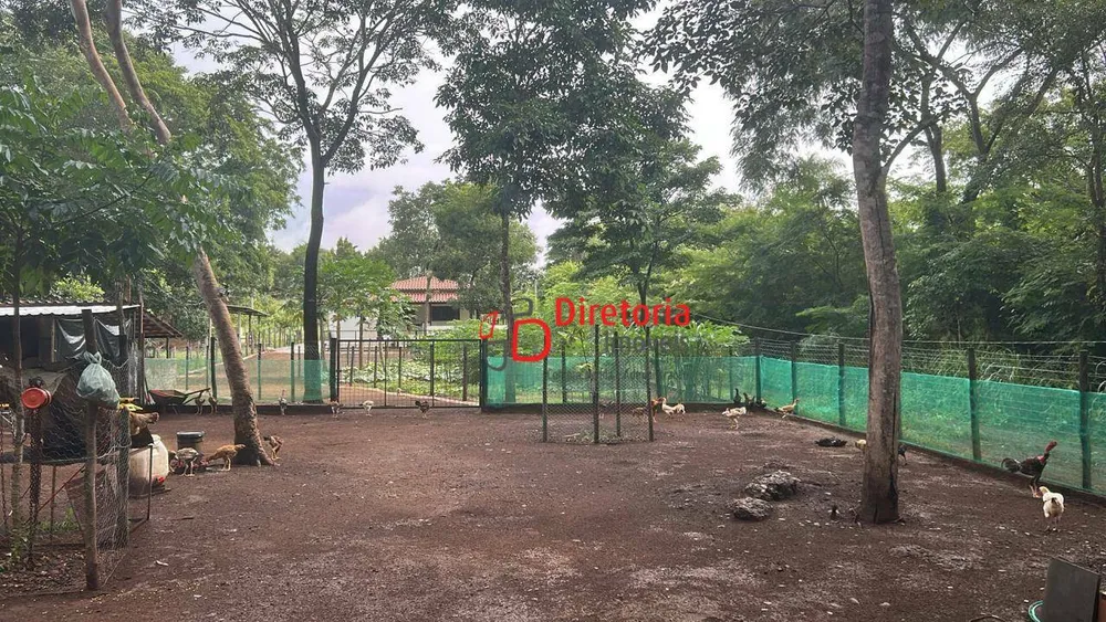 Chácara, 2 quartos, 4000 m² - Foto 10