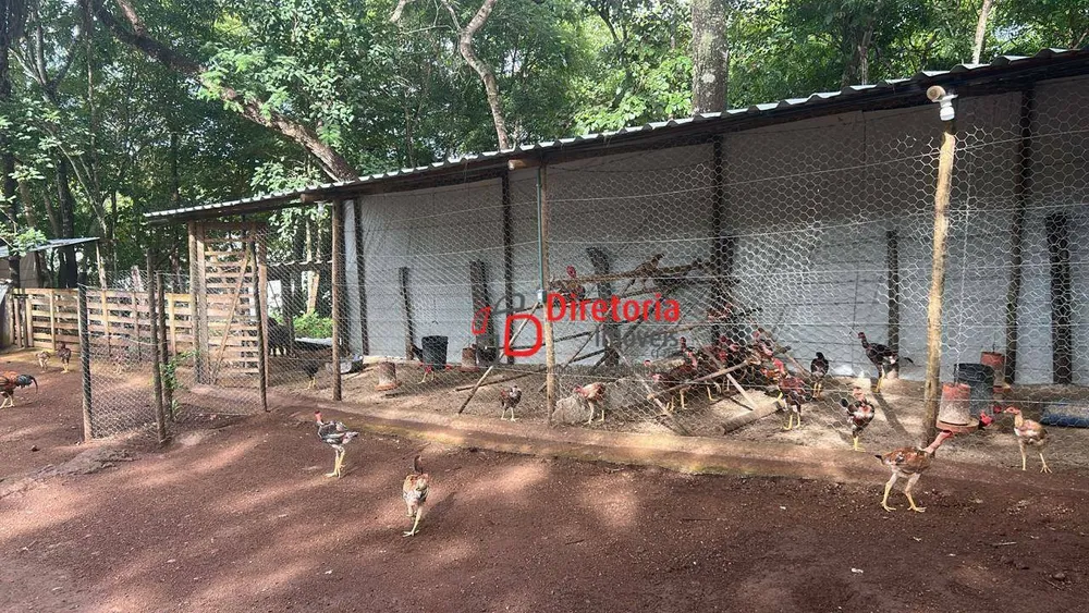 Chácara, 2 quartos, 4000 m² - Foto 11