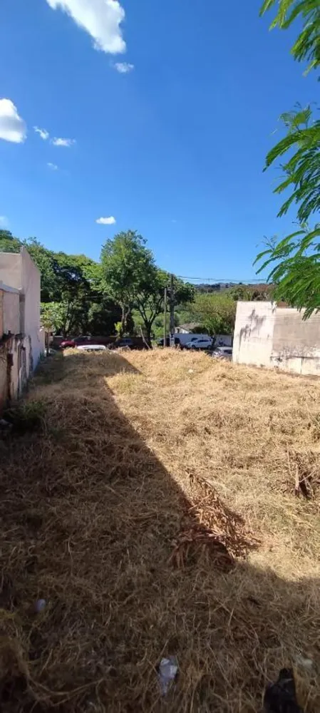 Terreno, 237 m² - Foto 4