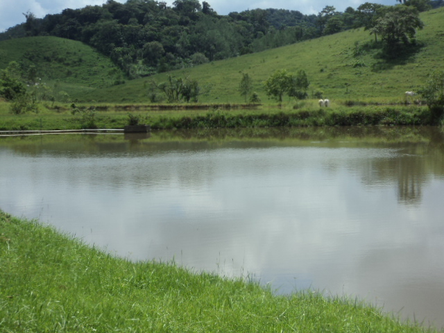 Fazenda à venda com 3 quartos, 150m² - Foto 30