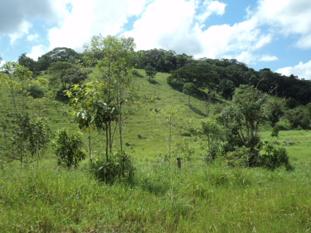 Fazenda à venda com 3 quartos, 150m² - Foto 37