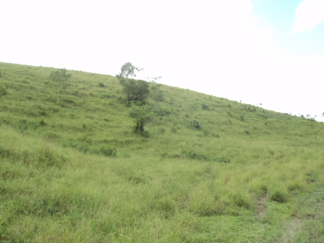 Fazenda à venda com 3 quartos, 150m² - Foto 40