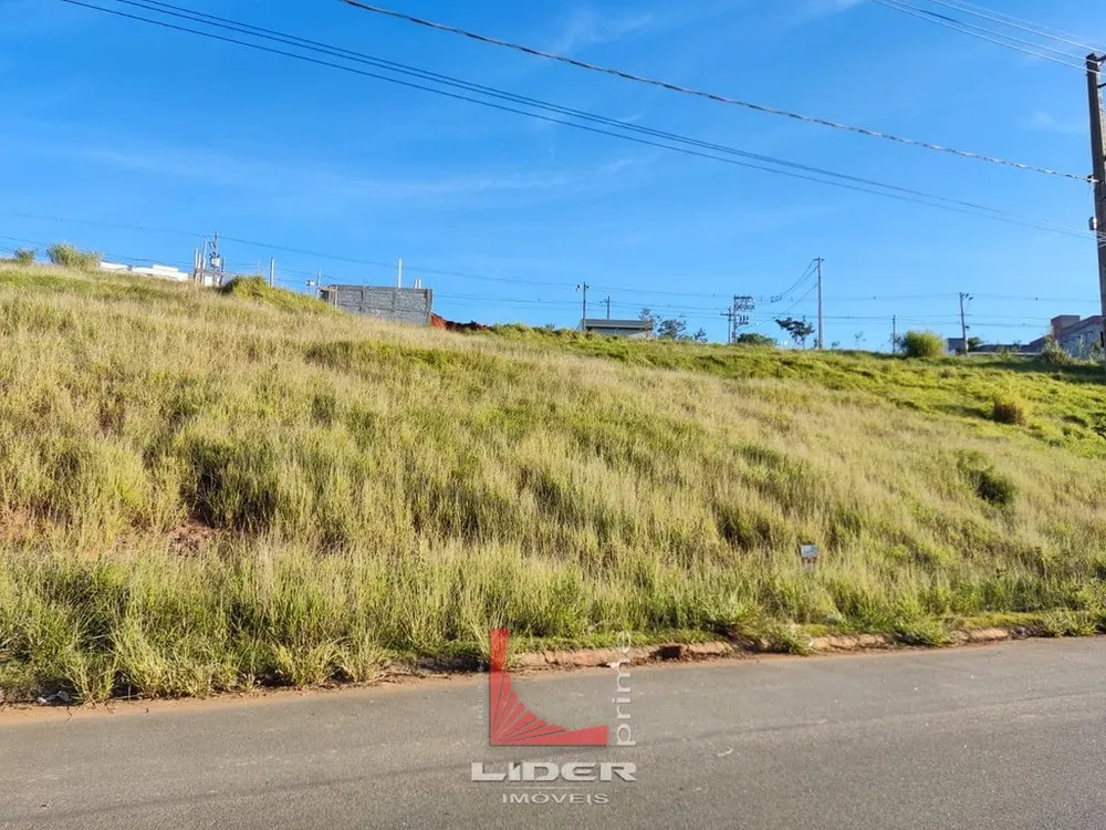 Terreno, 12 hectares - Foto 2