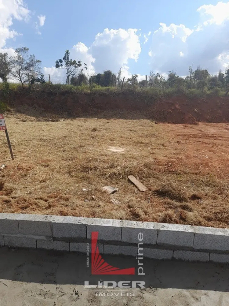Terreno, 12 hectares - Foto 4