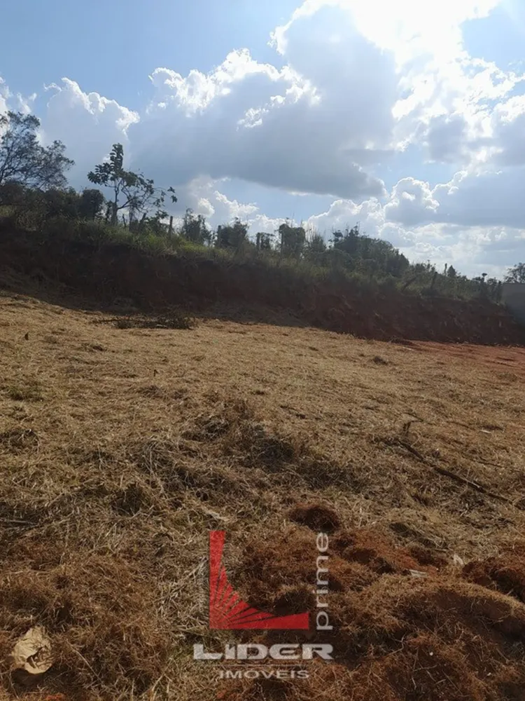 Loteamento e Condomínio, 2472 m² - Foto 6