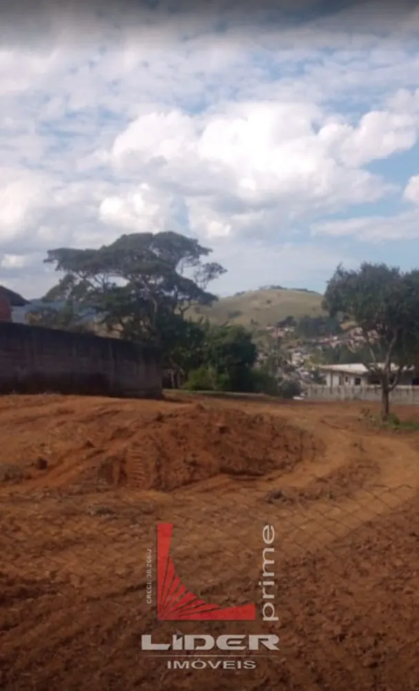 Casa, 4 quartos, 372 m² - Foto 3