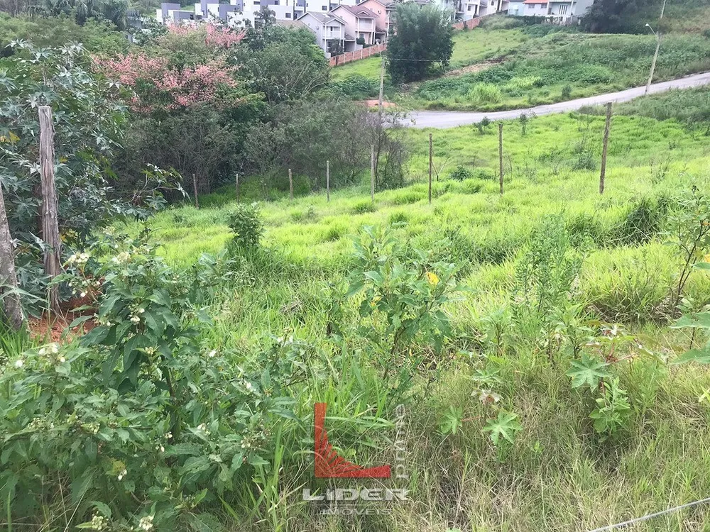 Loteamento e Condomínio, 1000 m² - Foto 3