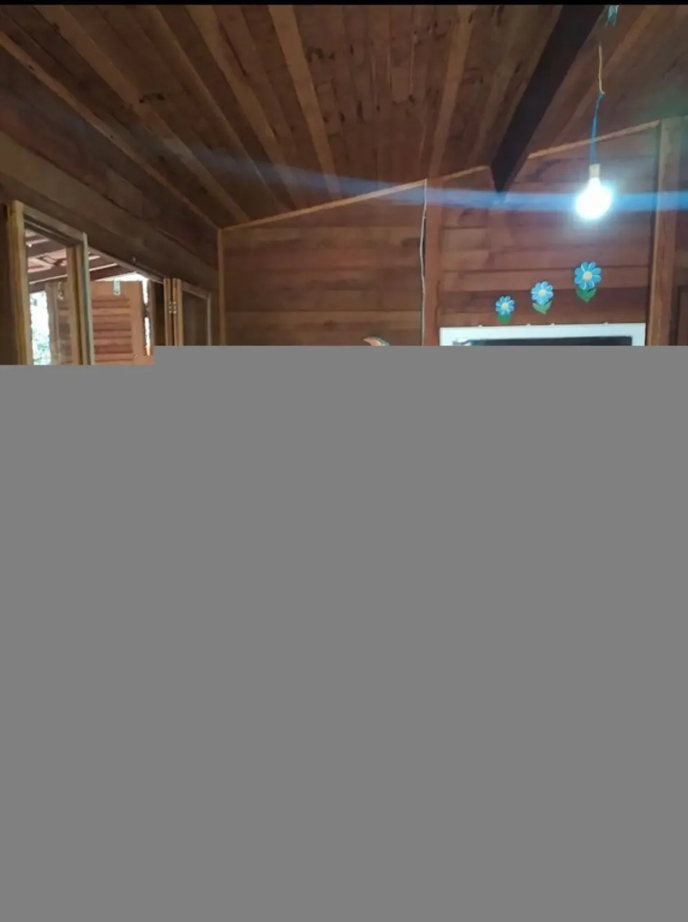 Chácara, 1155 m² - Foto 3