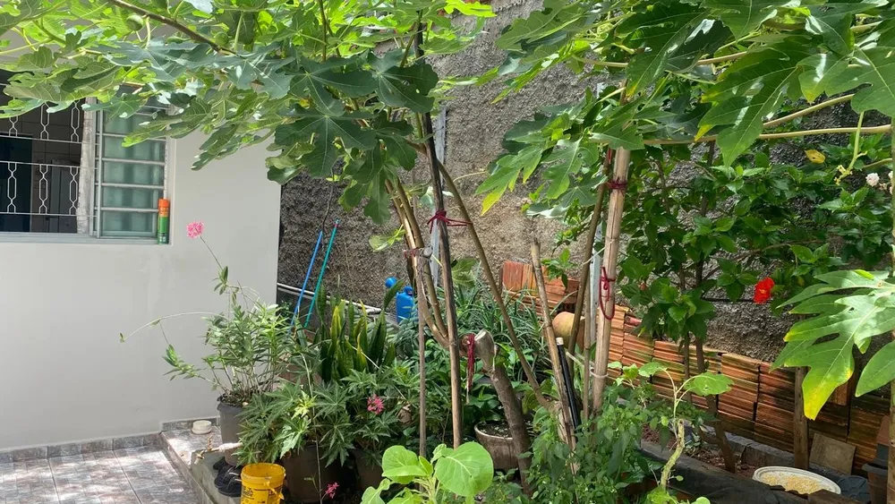 Casa, 2 quartos, 165 m² - Foto 11
