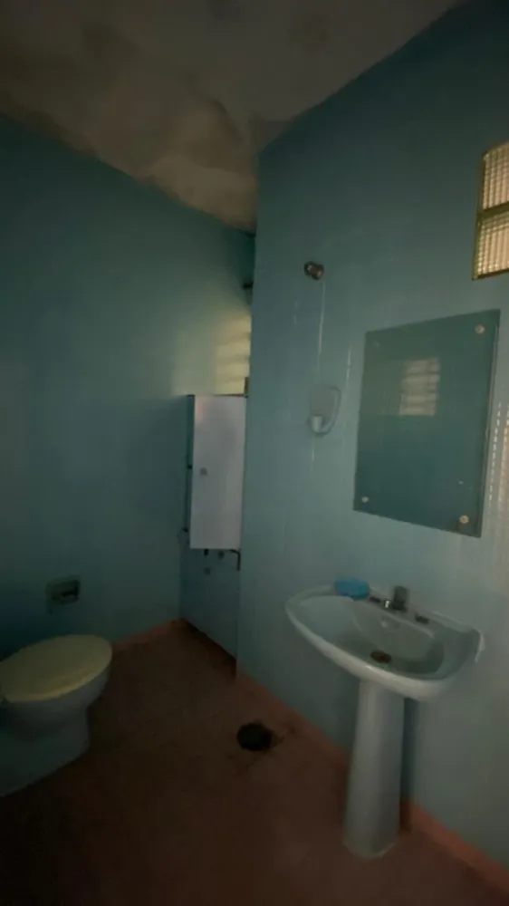 Casa, 5 quartos, 465 m² - Foto 18