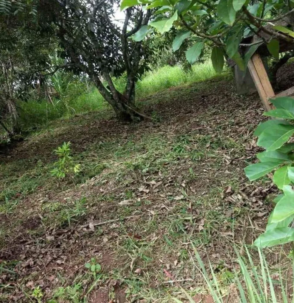 Chácara, 2 quartos, 1000 m² - Foto 9