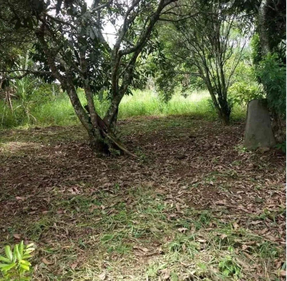 Chácara, 2 quartos, 1000 m² - Foto 10