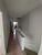 Casa, 3 quartos, 150 m² - Foto 10