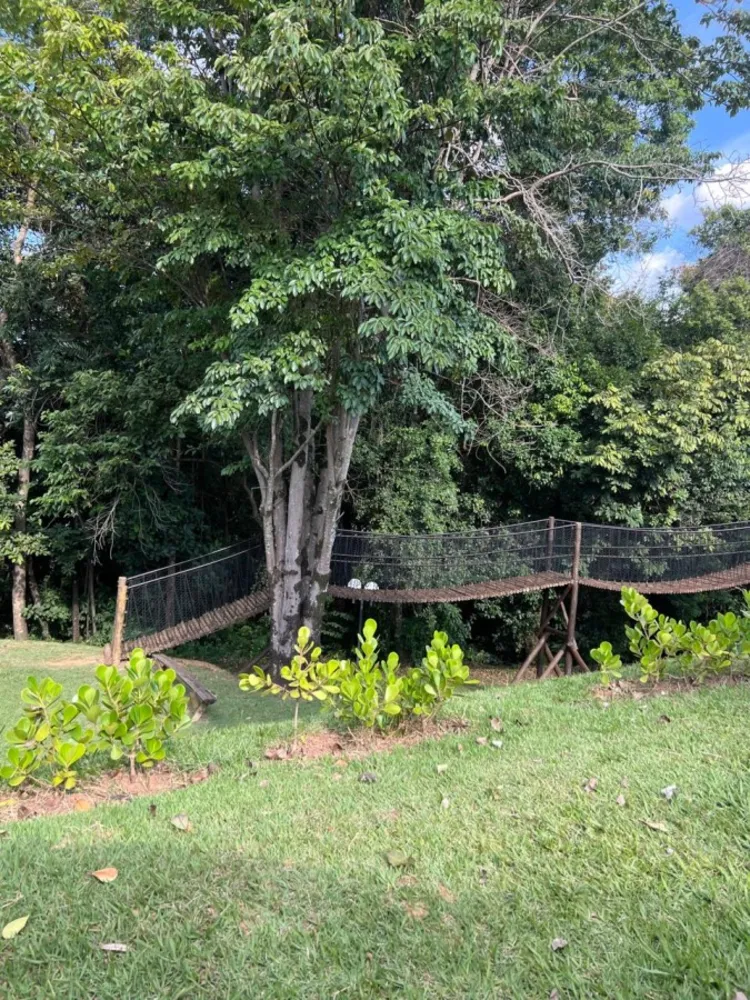 Terreno, 300 m² - Foto 4