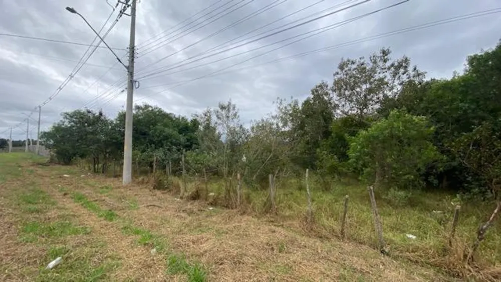 Terreno, 10000 m² - Foto 12