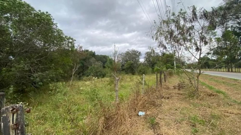 Terreno, 10000 m² - Foto 13