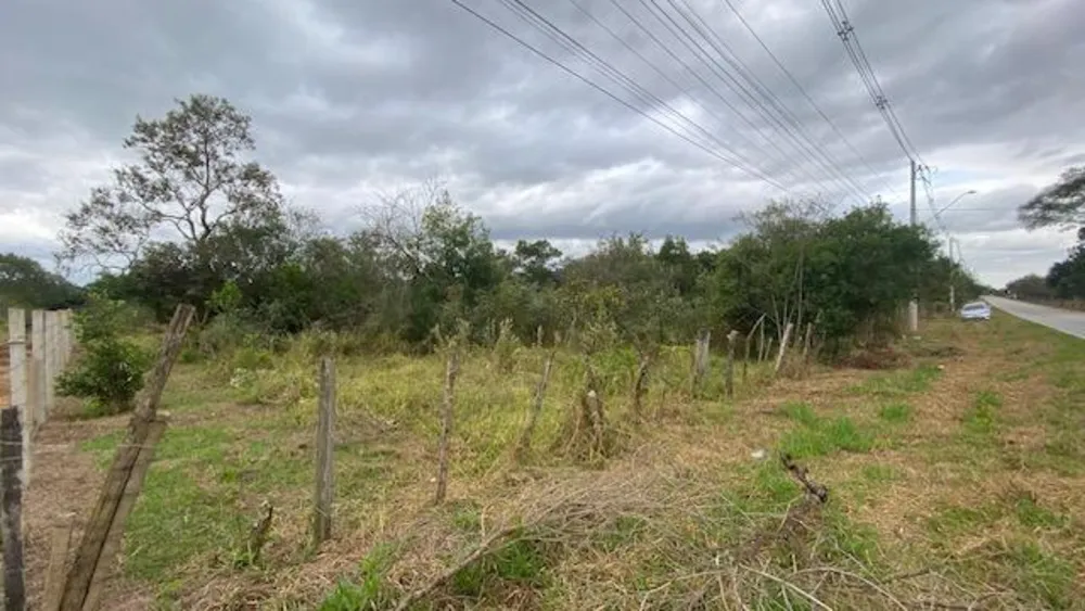 Terreno, 10000 m² - Foto 1