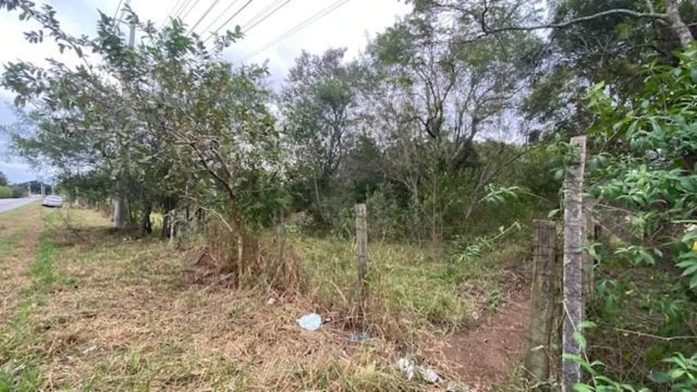Terreno, 10000 m² - Foto 9