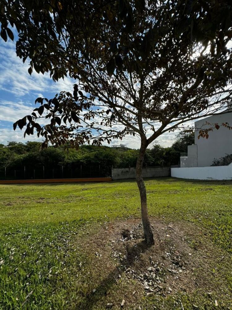 Terreno, 465 m² - Foto 5