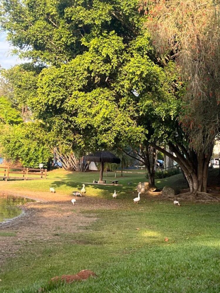 Terreno, 800 m² - Foto 4