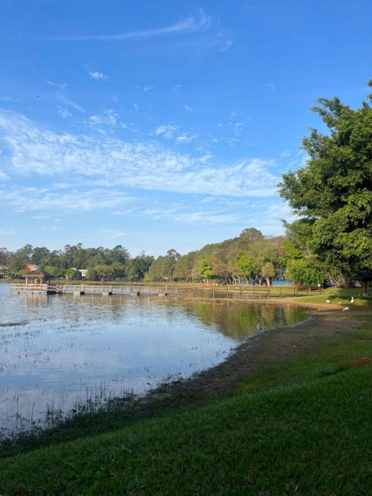 Terreno, 800 m² - Foto 10