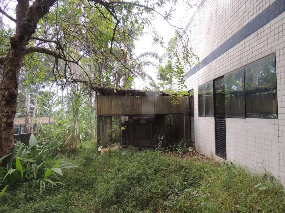 Prédio Inteiro, 4400 m² - Foto 12