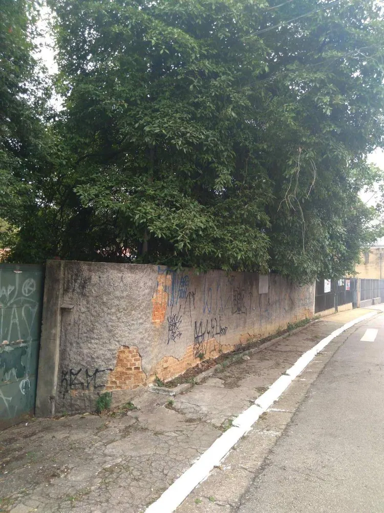 Terreno, 3004 m² - Foto 2