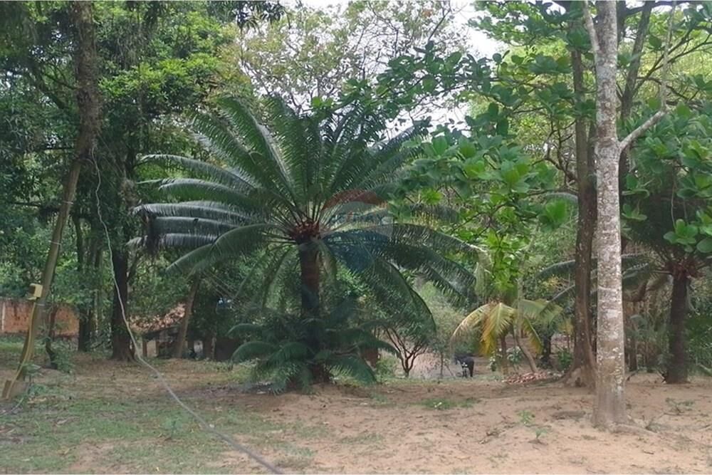 Chácara à venda com 3 quartos, 11305m² - Foto 1