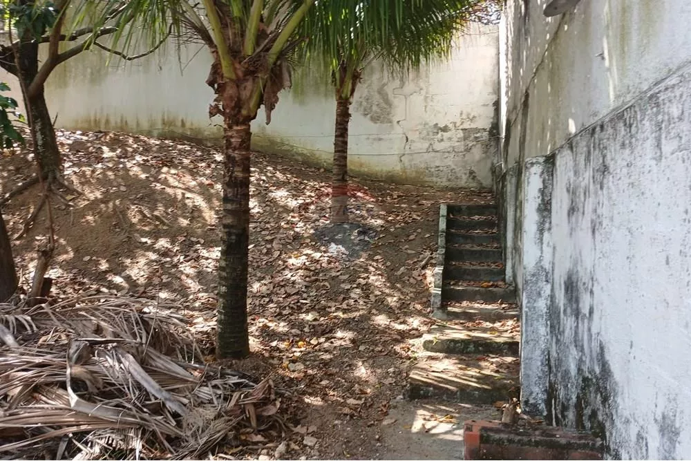 Casa, 4 quartos, 621 m² - Foto 44