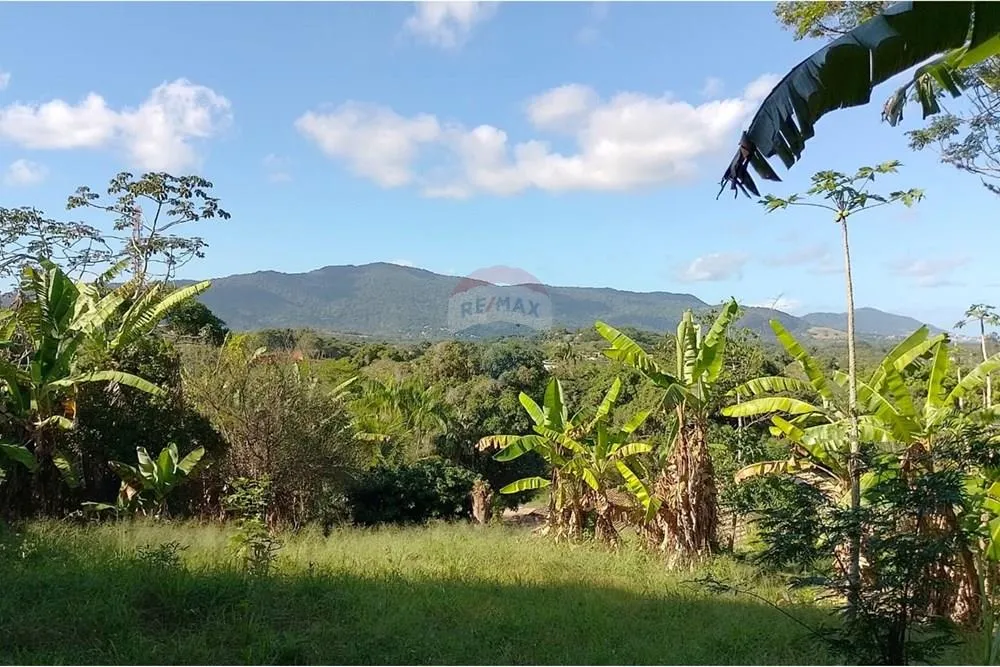 Terreno, 2729 m² - Foto 15